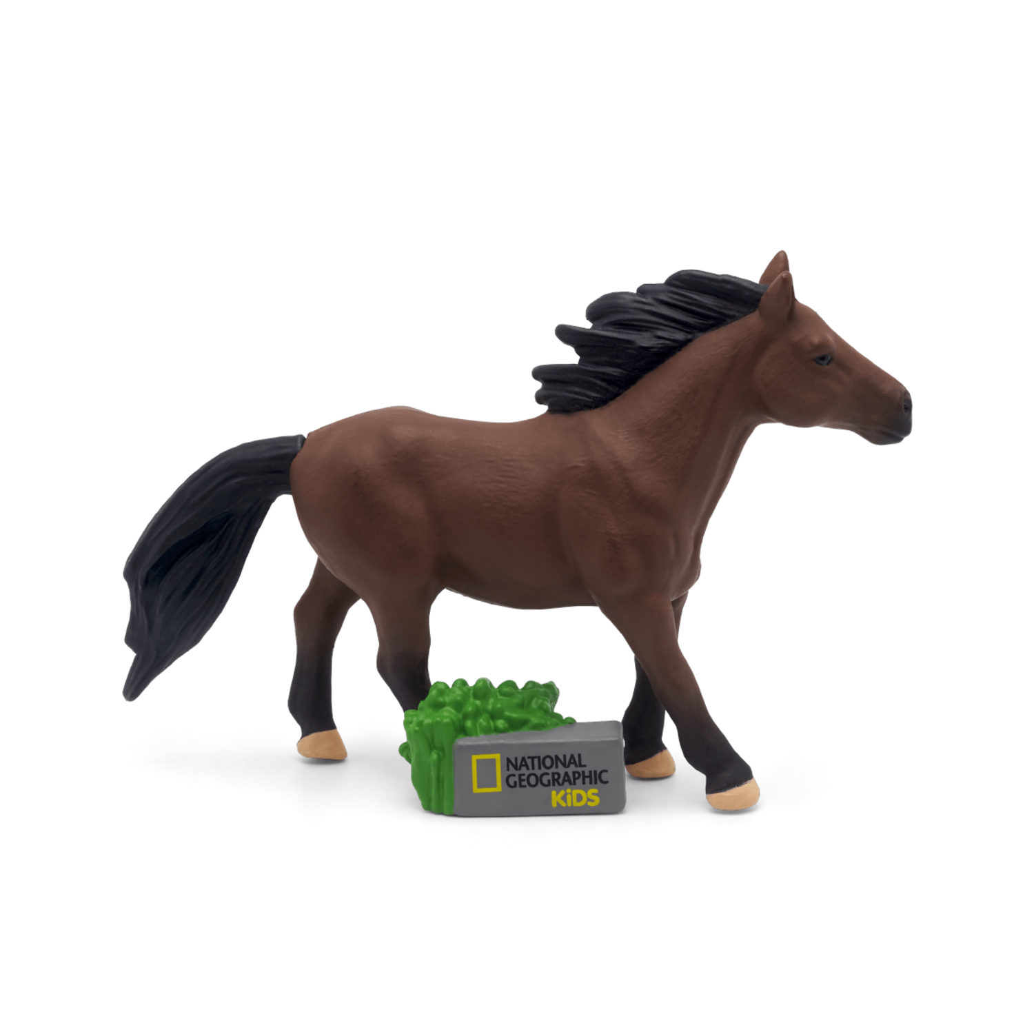 Horse-10000931-PLPTB2MainImageTransparent.png