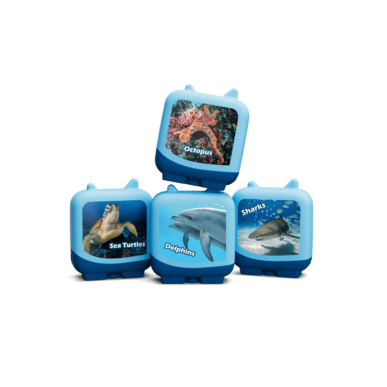 Marine-Life-11000708-PLPTB2MainImageTransparent.png