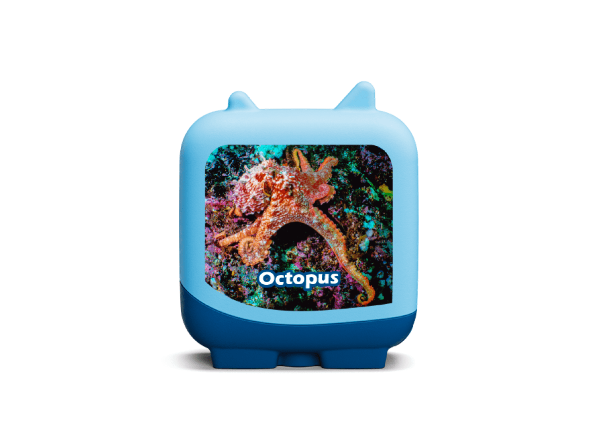 Marine-Life-11000708-TB2Hero4.png