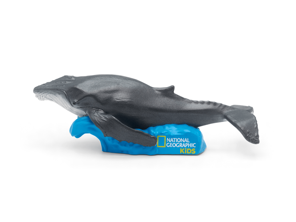 National-Geographic-Kids-Tonies-Set-PS-TONIES-NATGEO-7SET-US-TB2Hero5.png