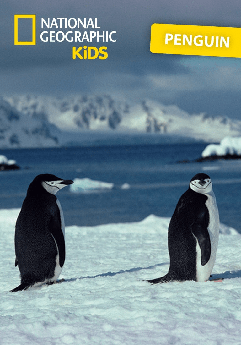 Penguin-10001039-ContentCard.png