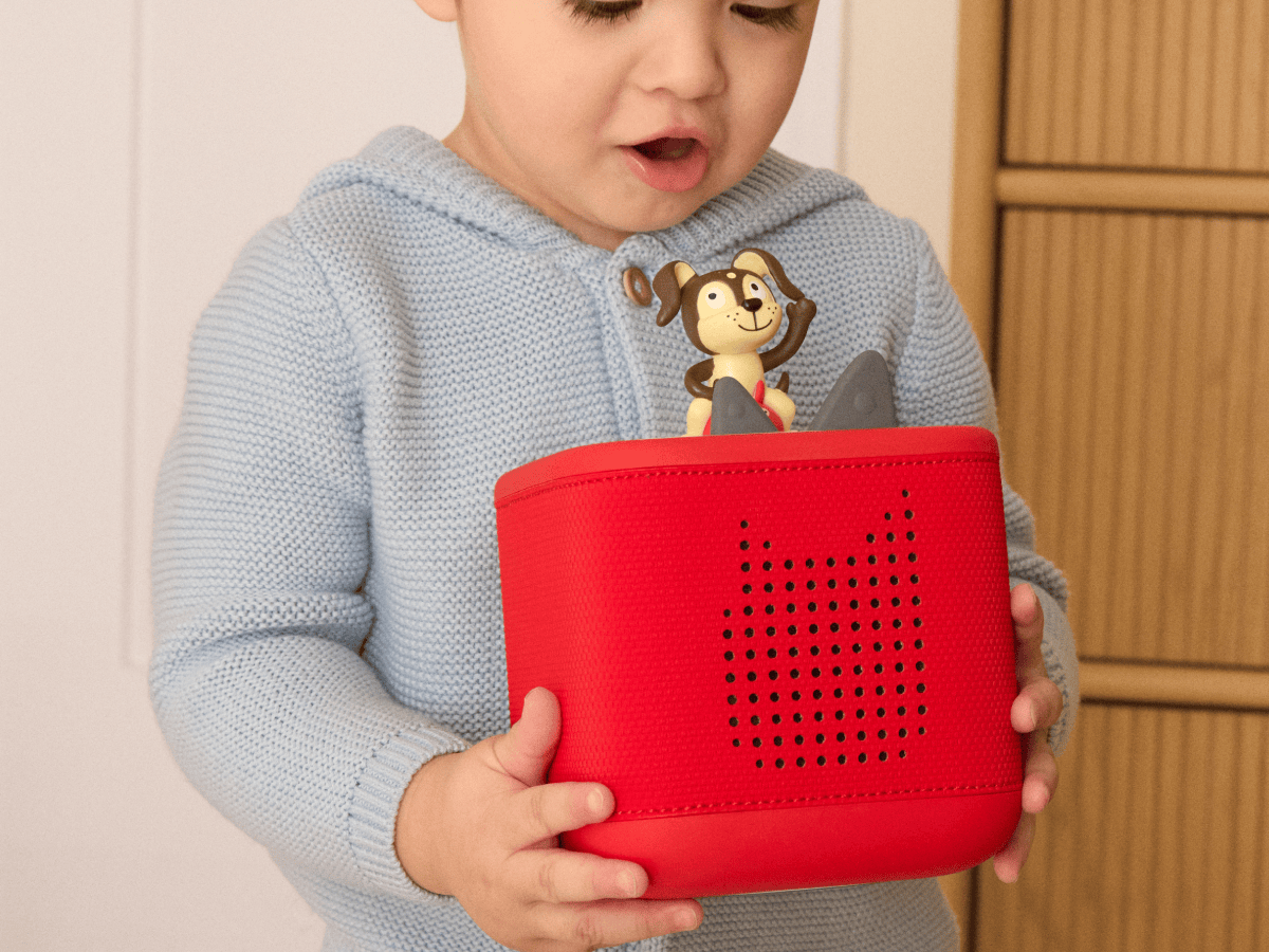 Playtime-Puppy-Starter-Set-Sunset-Red-11003120-PS-TB2LifestyleImage.png