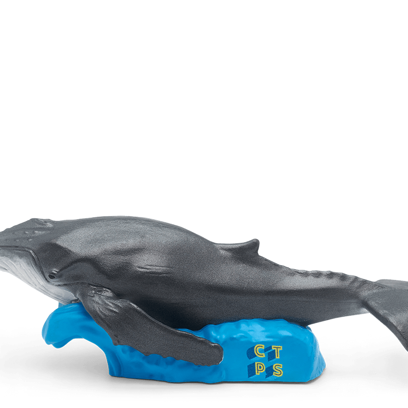 Whale-10000796-BundleTB2MainImageTransparent.png