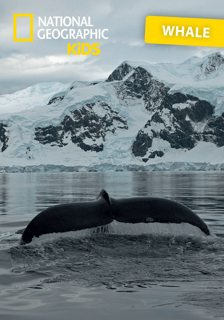 Whale-10000796-ContentCard.png