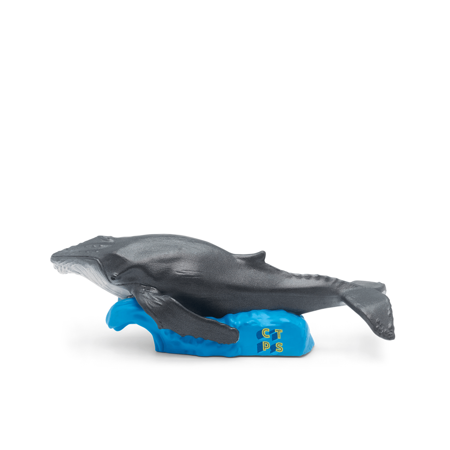 Whale-10000796-PLPTB2MainImageTransparent.png