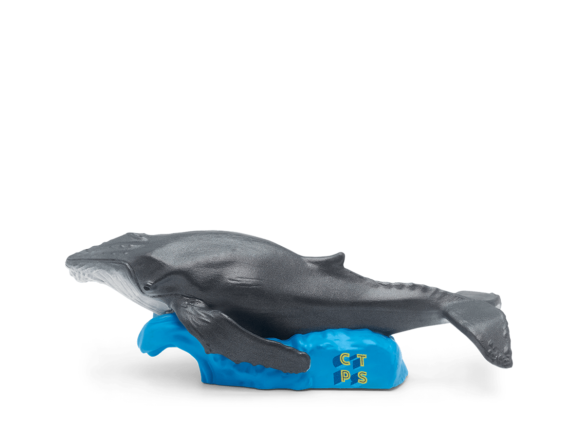 Whale-10000796-TB2MainImageTransparent.png
