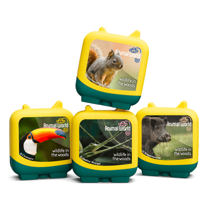 Wildlife-in-the-Woods-11002554-BundleTB2MainImageTransparent.png