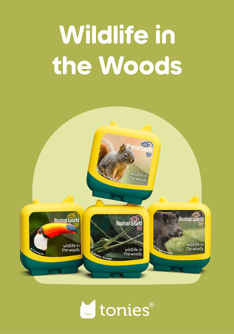 Wildlife-in-the-Woods-11002554-ContentCard.png