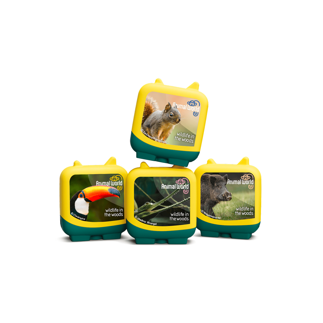 Wildlife-in-the-Woods-11002554-PLPTB2MainImageTransparent.png