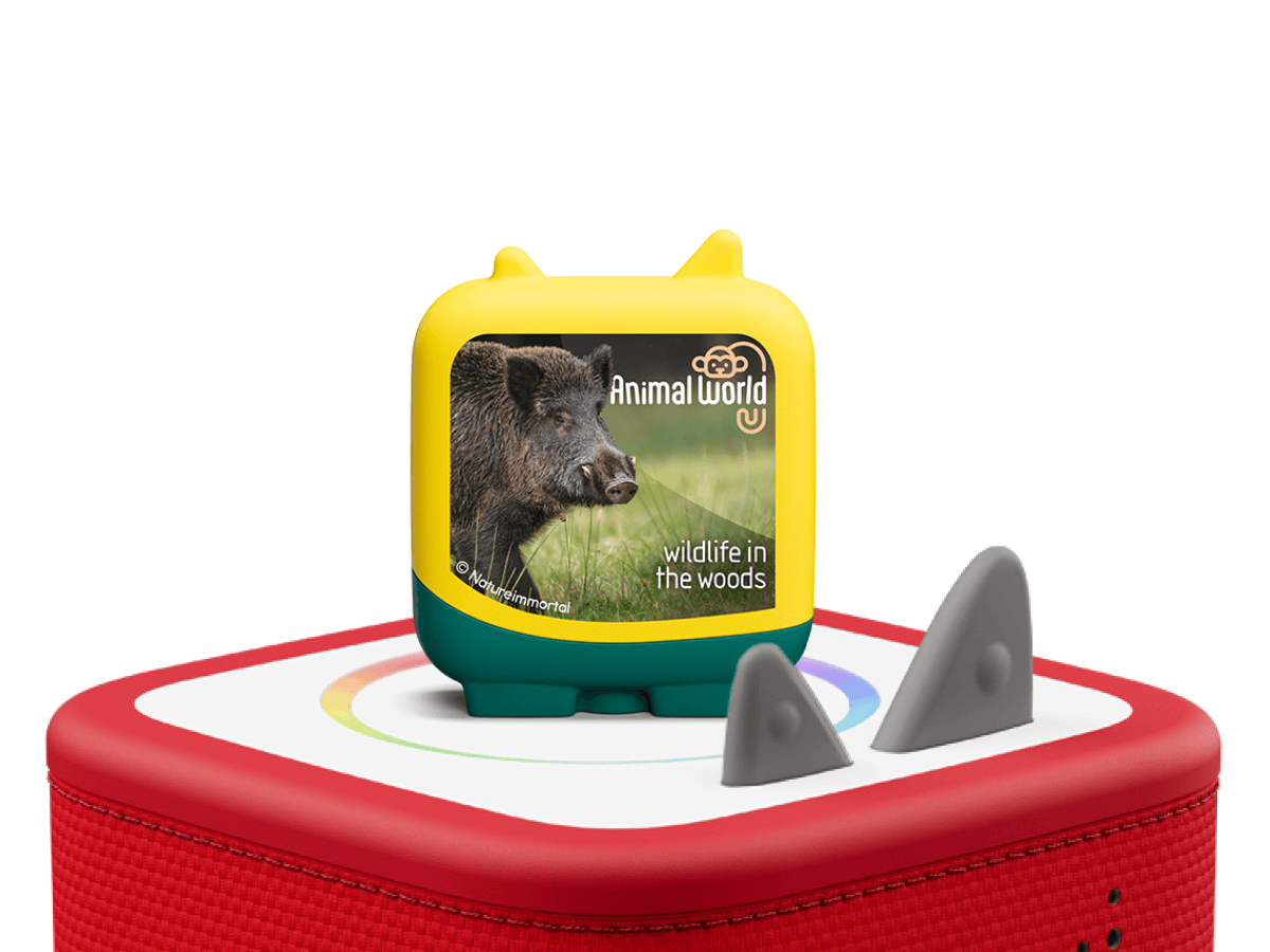 Wildlife-in-the-Woods-11002554-TB2Hero1.png