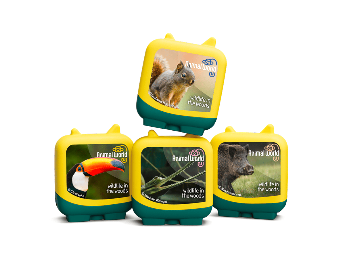 Wildlife-in-the-Woods-11002554-TB2Hero2.png