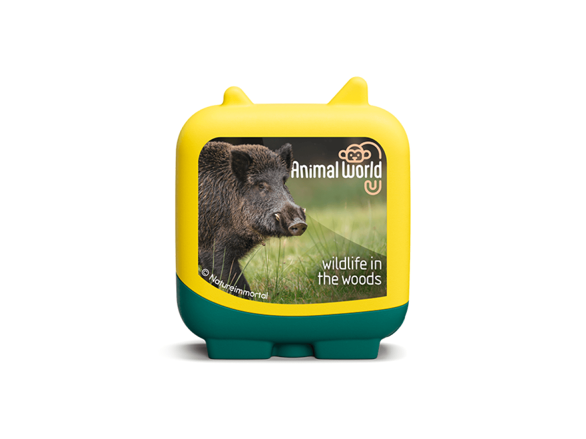 Wildlife-in-the-Woods-11002554-TB2Hero3.png
