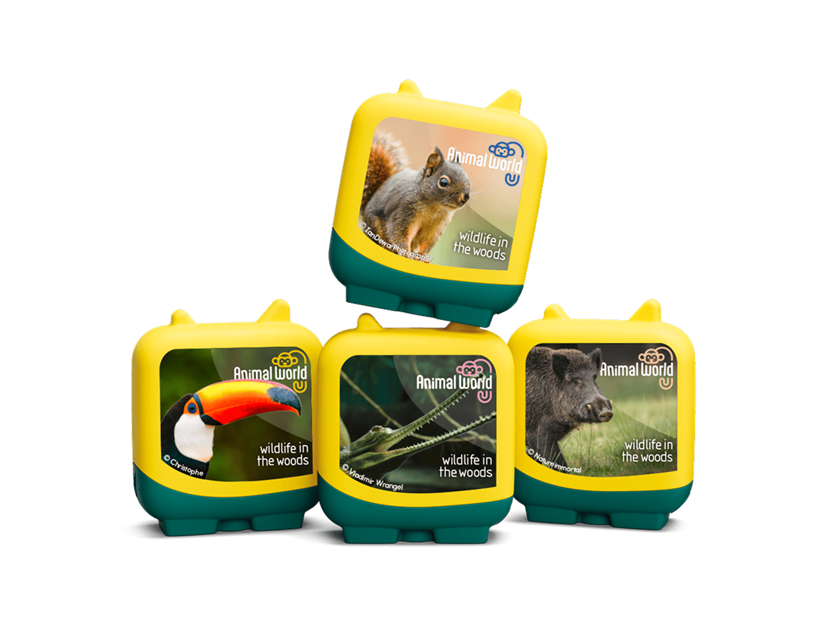 Wildlife-in-the-Woods-11002554-TB2MainImageTransparent.png